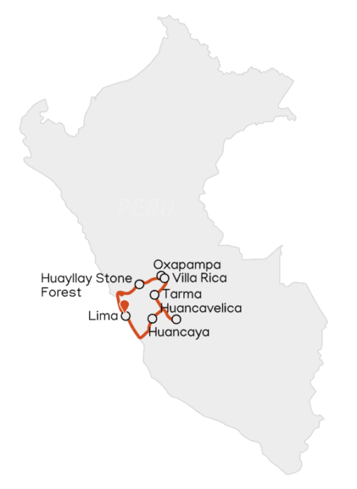 Coffee and Central Rainforest Route - Intorno Campers